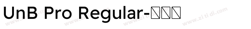 UnB Pro Regular字体转换
